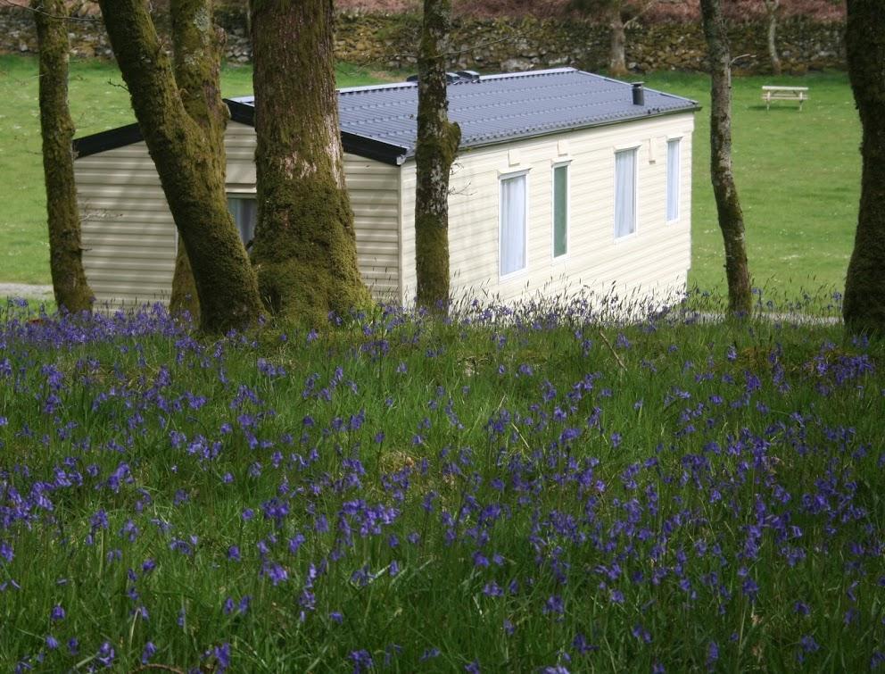 Dinas Hotel Llanbedr  Luaran gambar